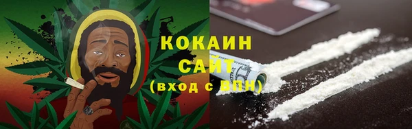 шишки Горнозаводск