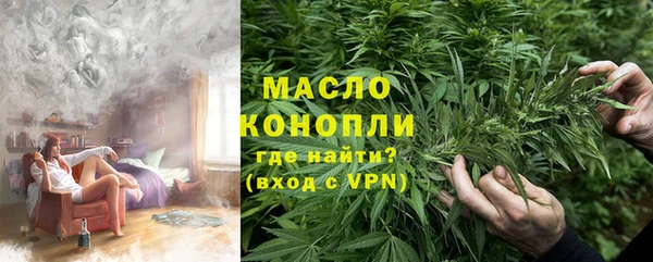 стаф Вязьма