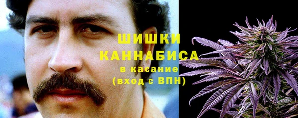 стаф Вязьма